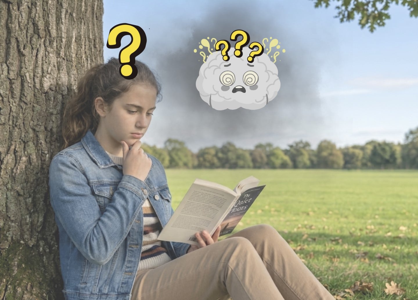 Low Comprehension Part 3. It’s not always about decoding